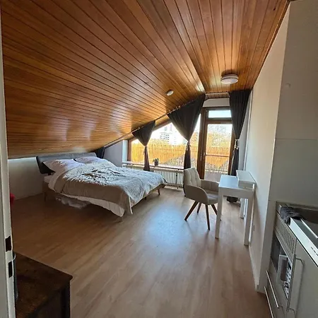Cozy 1 Close To Apartment